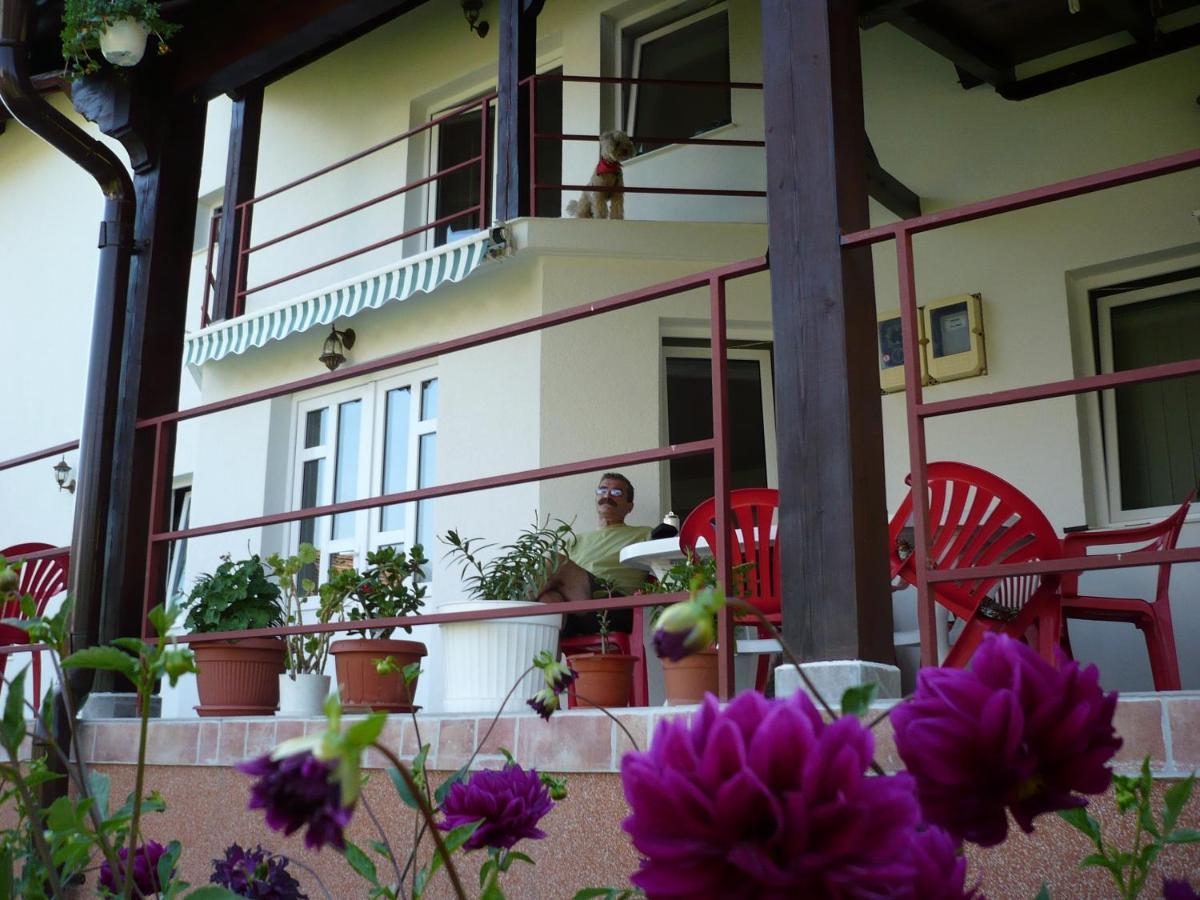 Pension Piatra Craiului Moieciu de Jos Exterior foto